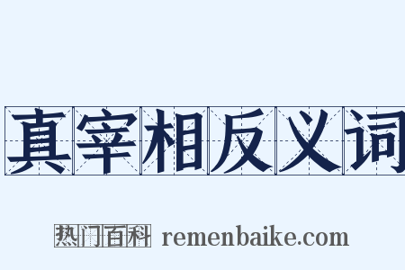真宰相反义词是什么意思的图片